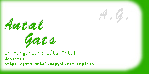 antal gats business card